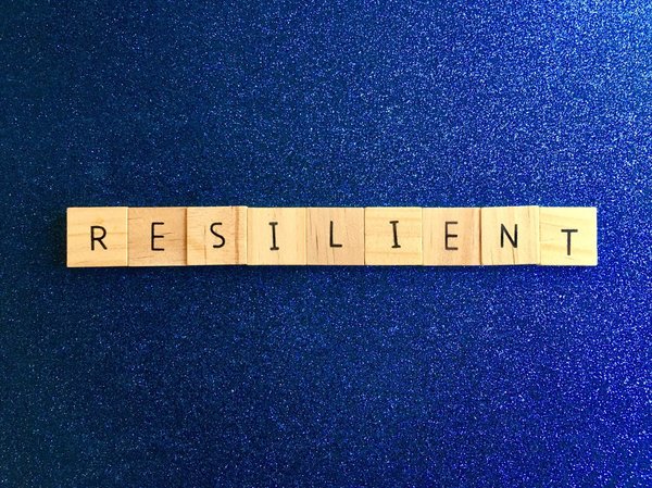 les plantes vivaces qui reviennent chaque année pour un entretien minimal