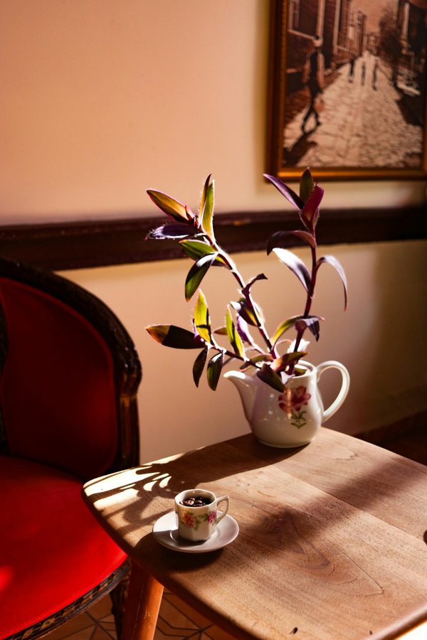 Découvrez les merveilles de la table en teck recyclé